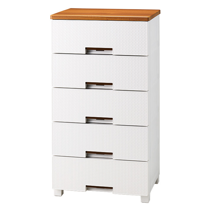 フィッツプラスメッシュ 幅55高さ105cm・5段 衣類 衣装ケース 収納ケース 衣類収納 532327