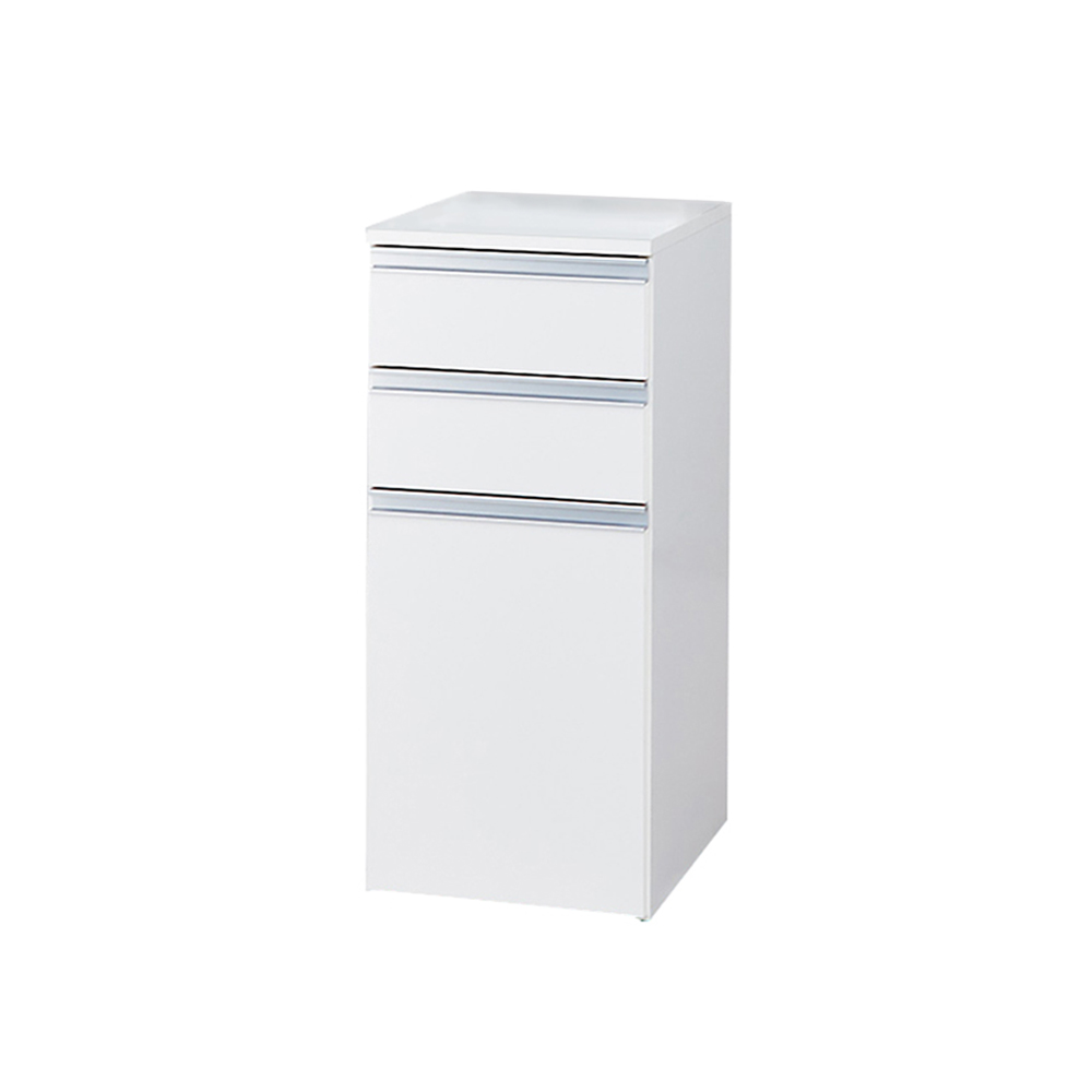 ［幅38奥行45高さ85cm］ 分別ゴミ箱付きすき間収納庫 2分別 日本製 キッチンストッカー 隙間収納 キッチン収納 542015