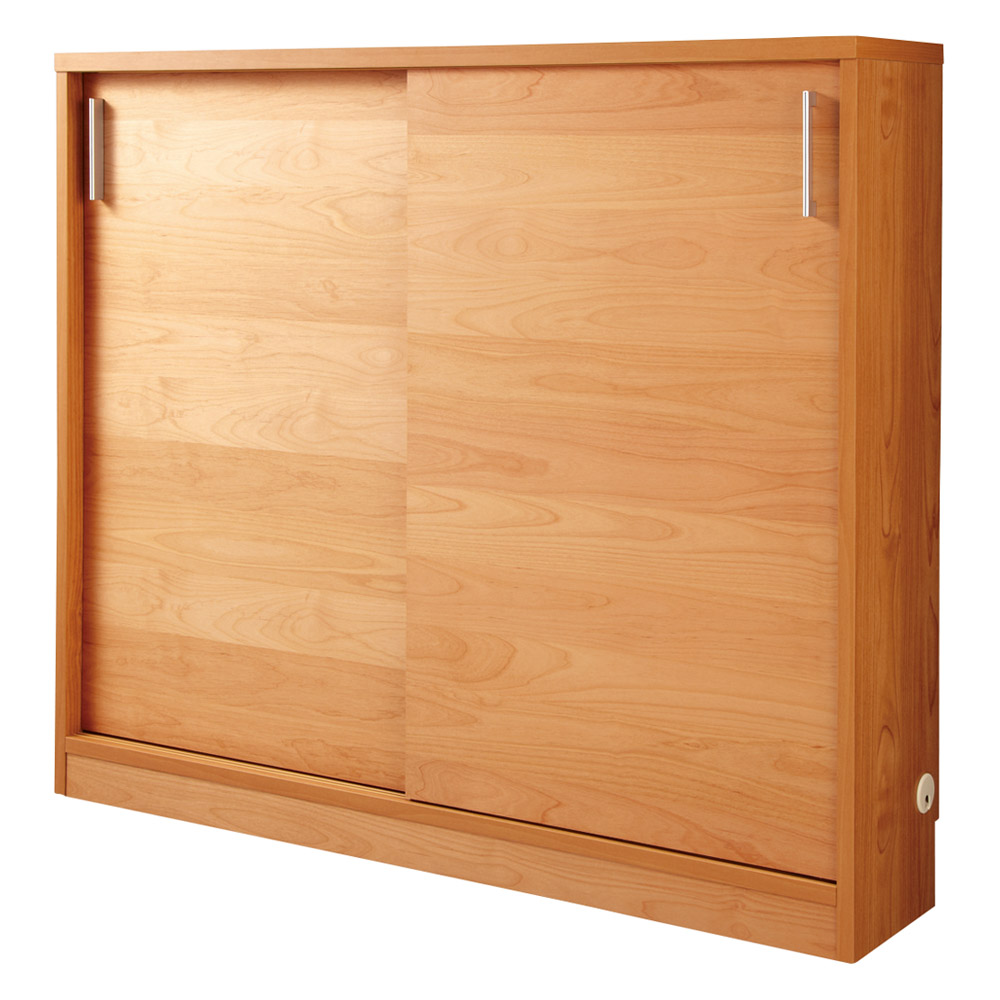 アルダーカウンター下収納庫（奥行23cm） 幅120高さ100cm キッチンカウンター下収納 キッチン収納 542656