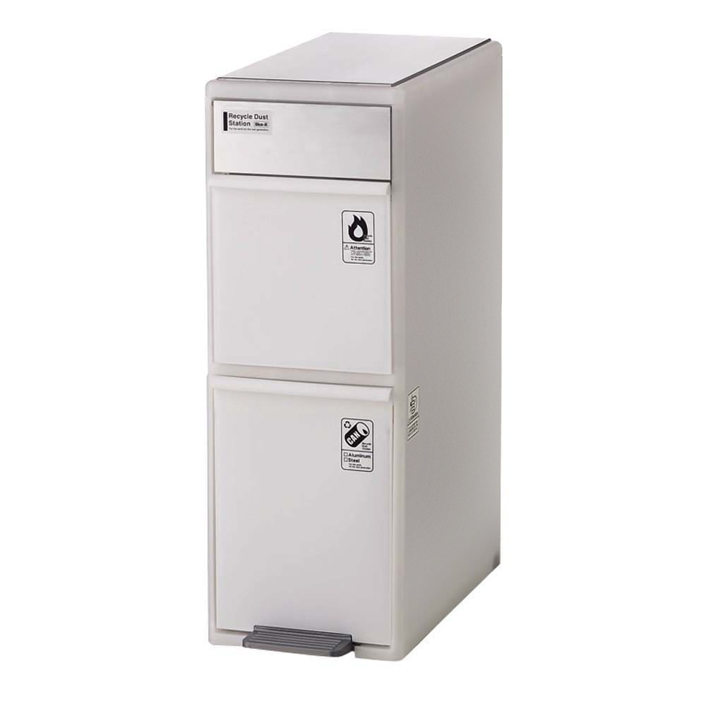 ステンレス天板 分別スウィングステーション（ダストボックス） 2段 キッチン 分別 ダストボックス 542010