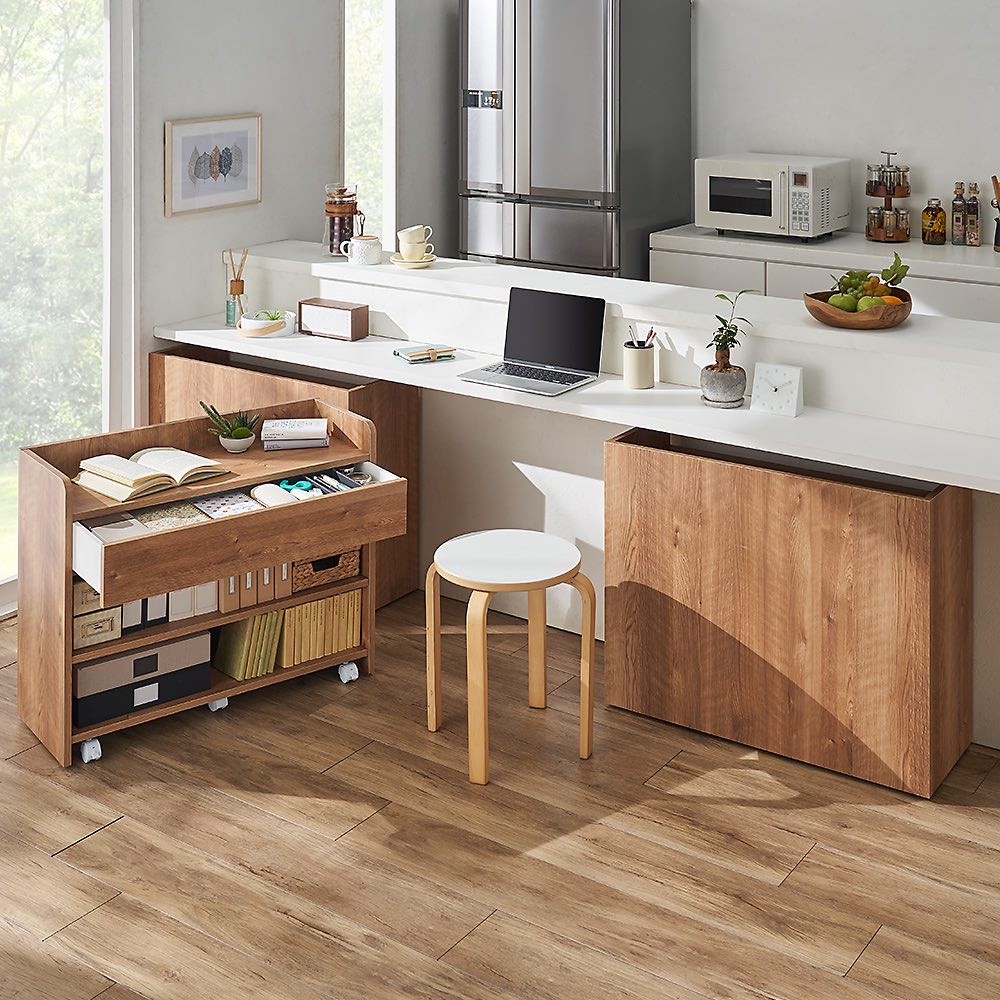 隠せるカウンター下収納 マルチタイプ 幅59高さ66cm ディノスANAmall店