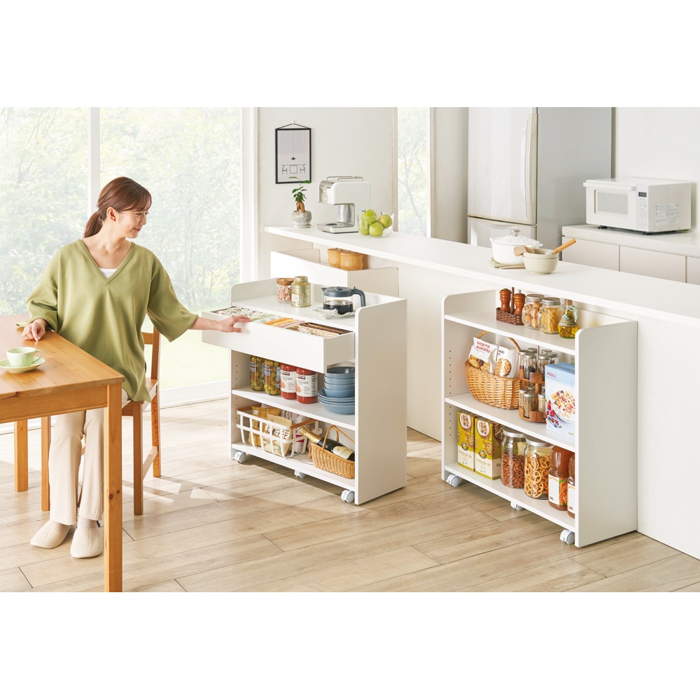 隠せるカウンター下収納 マルチタイプ 幅59高さ66cm ディノスANAmall店