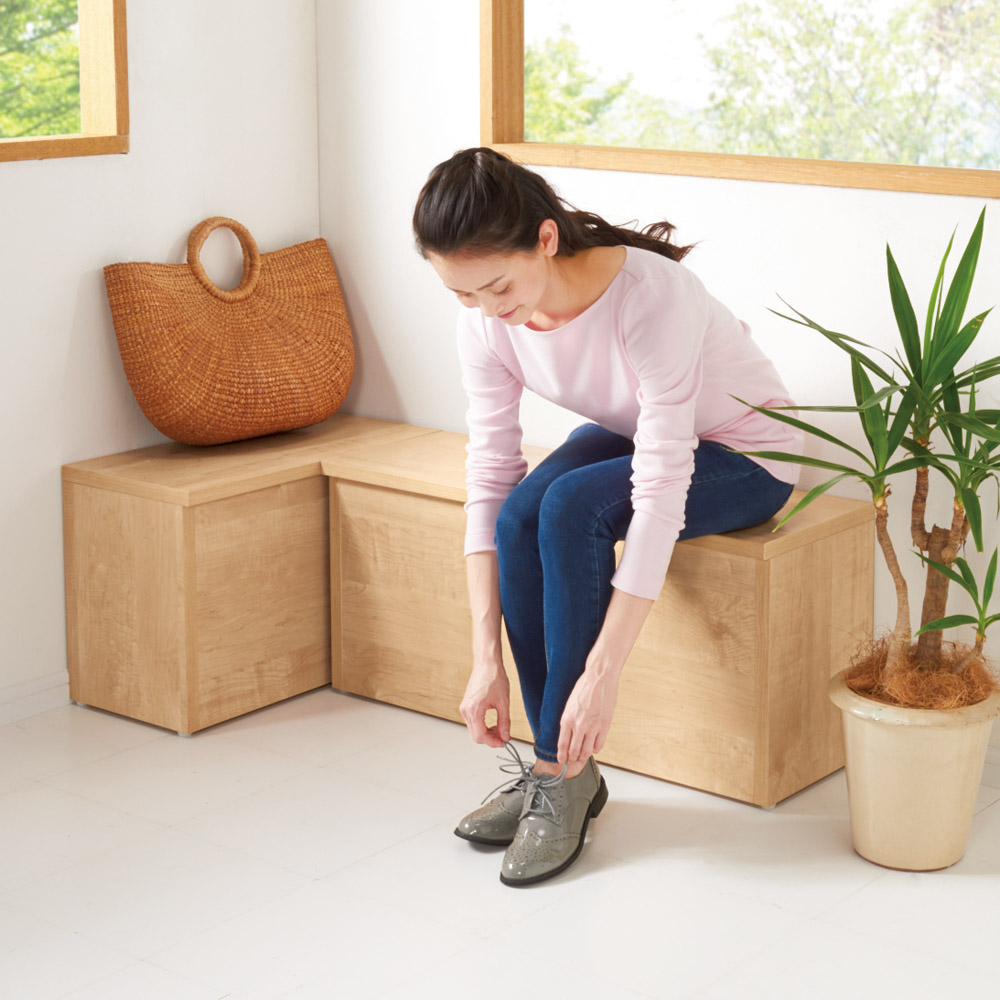 耐荷重100kg！組み立て不要 収納庫付ベンチ ボックスタイプ・幅60cm奥行41cm 玄関周り雑貨 下駄箱 玄関収納 590321