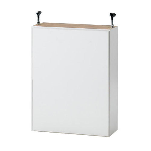 1cmピッチ薄型壁面書棚 奥行29.5cm 幅42cm 上置き高さ55cm 扉 本棚 ブックシェルフ 書棚 ラック シェルフ 627827