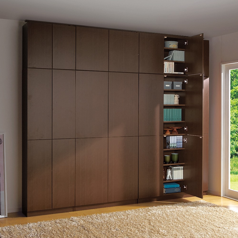 天井突っ張り式壁面ラック 扉タイプ上置き付き 幅60奥行22本体高さ235cm 突っ張り収納 ラック 本棚 シェルフ 628007