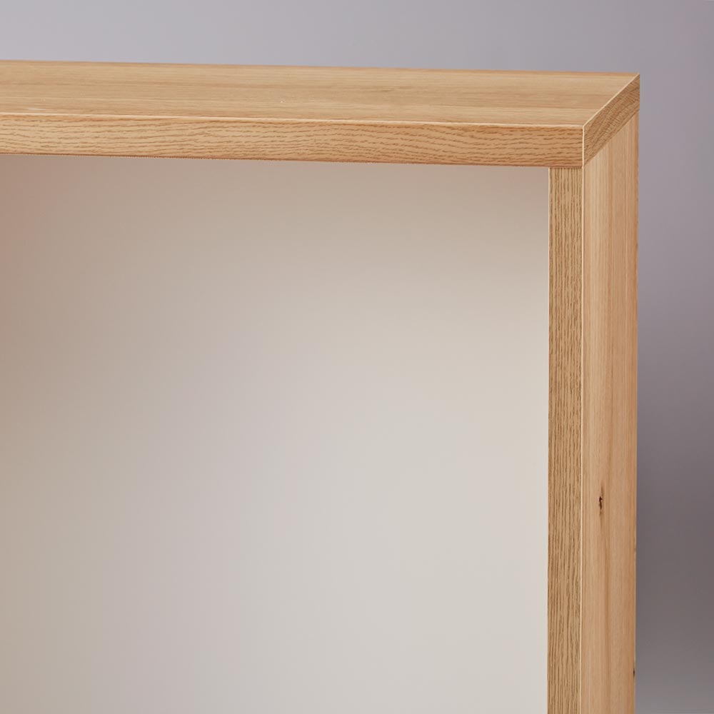 完成品 見せるも隠すも収納シリーズ 片引き戸 幅120cm高さ70cm キャビネット リビングボード リビング収納 629250