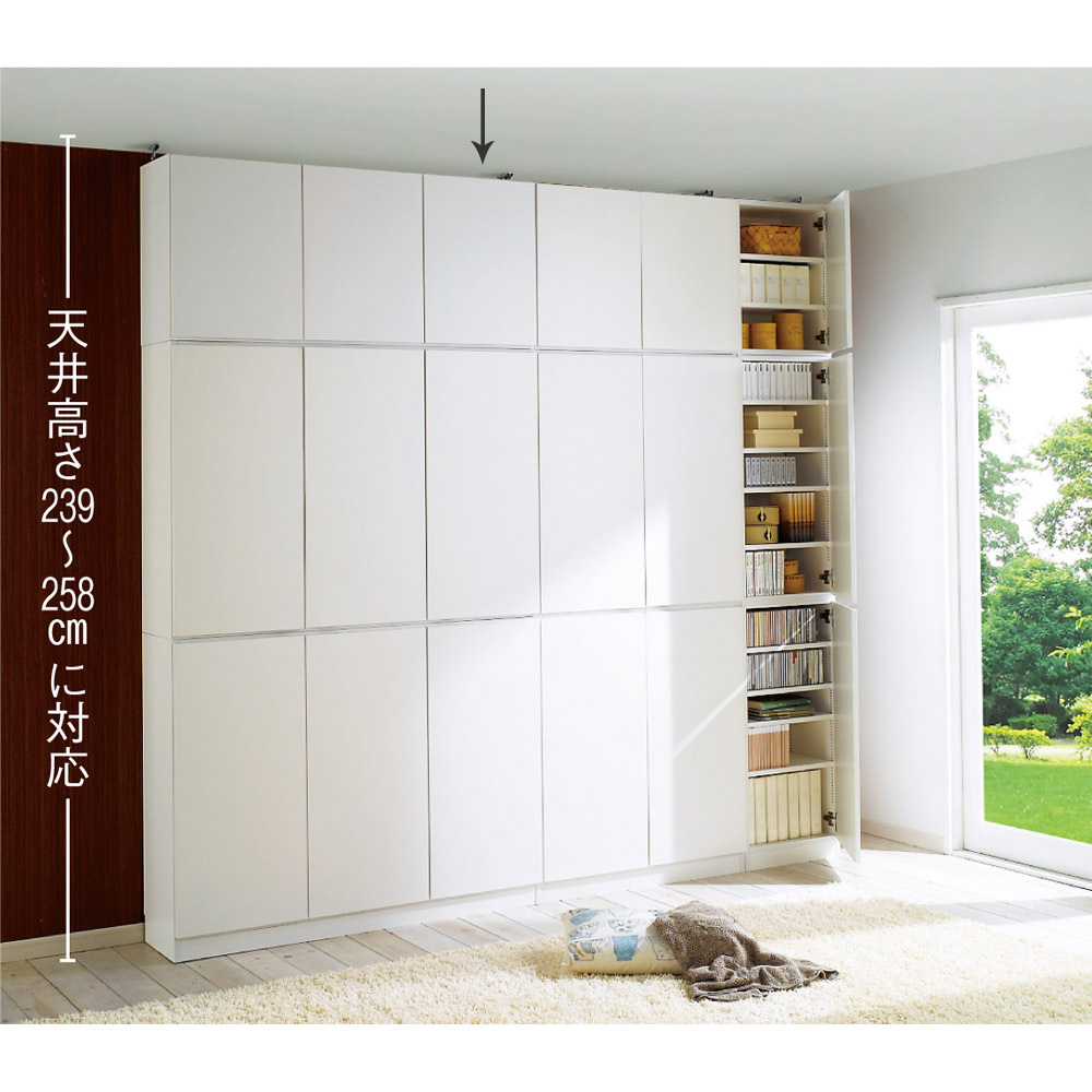 1cmピッチ薄型壁面書棚 奥行29.5cm 幅123cm 上置き高さ55cm 扉 本棚 ブックシェルフ 書棚 ラック シェルフ 627829