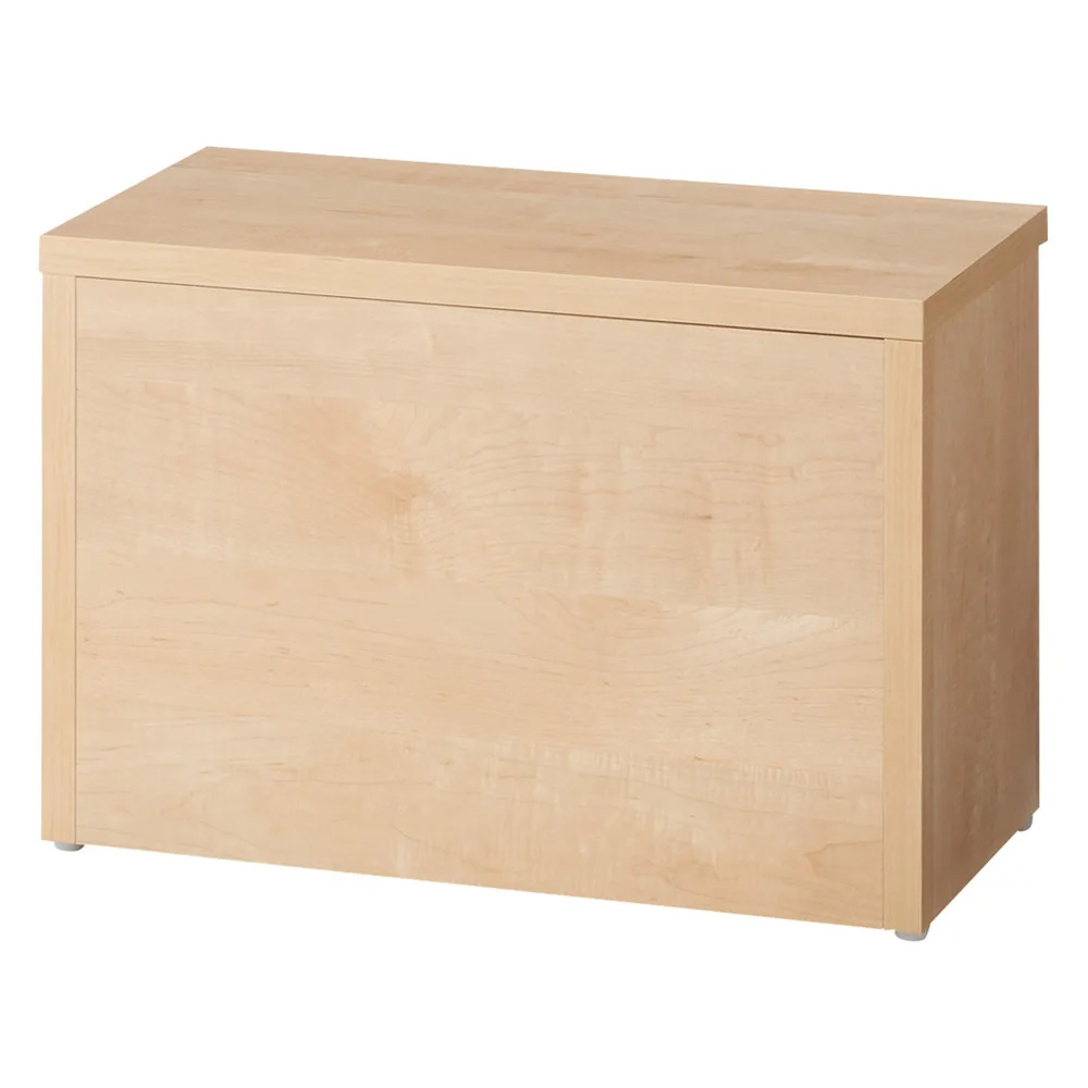 耐荷重100kg!組立不要 収納庫付ベンチ ボックスタイプ・幅60cm奥行31cm 玄関 ベンチ 収納 ベンチボックス 玄関周り雑貨 下駄箱 玄関収納 640531