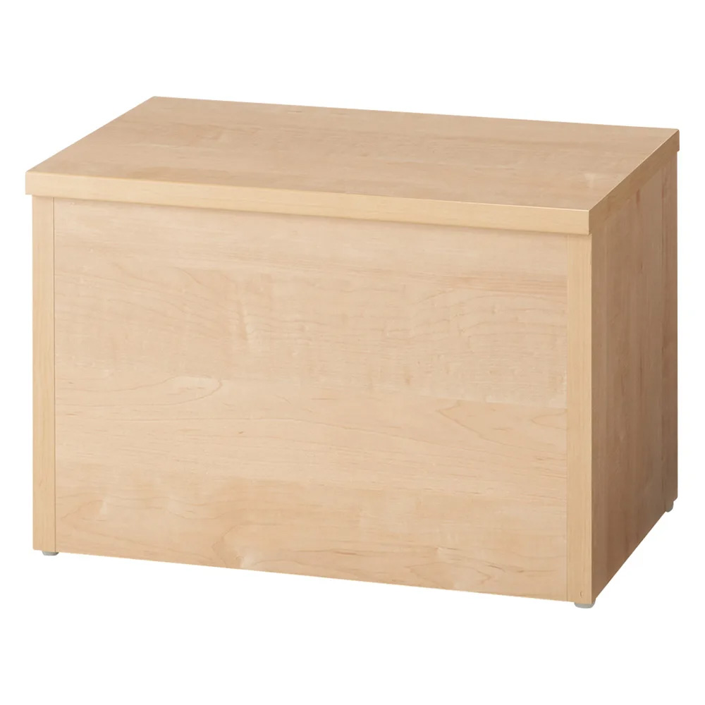 耐荷重100kg！組立不要 収納庫付ベンチ ボックスタイプ・幅60cm奥行41cm 玄関周り雑貨 下駄箱 玄関収納 640534