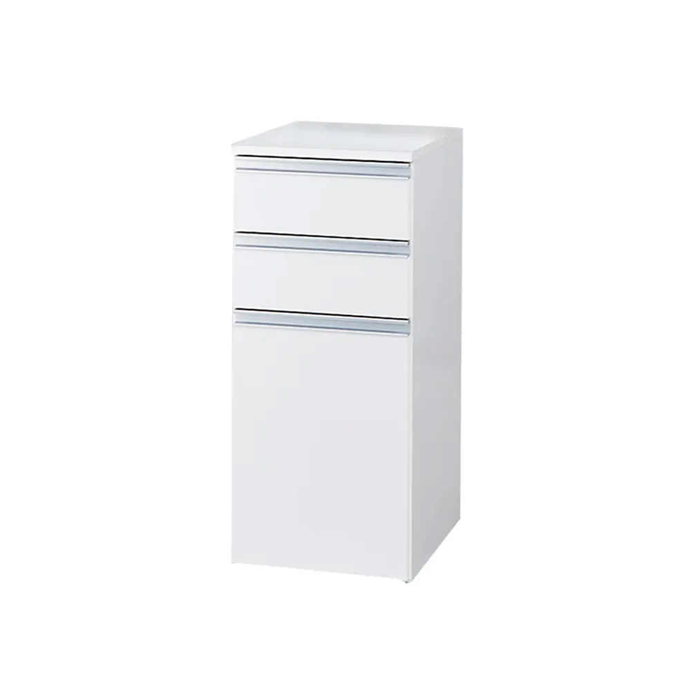 ［幅39奥行45高さ88cm］分別ゴミ箱付きすき間収納庫 2分別 日本製 キッチンストッカー 隙間収納 キッチン収納 640715