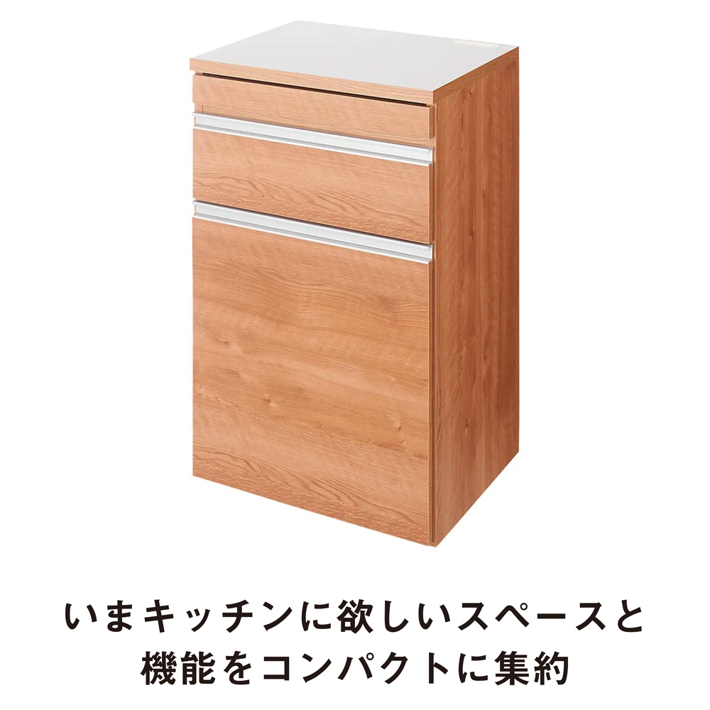 組立不要 スライドテーブル付きキッチン収納 ゴミ箱2分別 幅53.5cm キッチン 分別 ダストボックス 686807