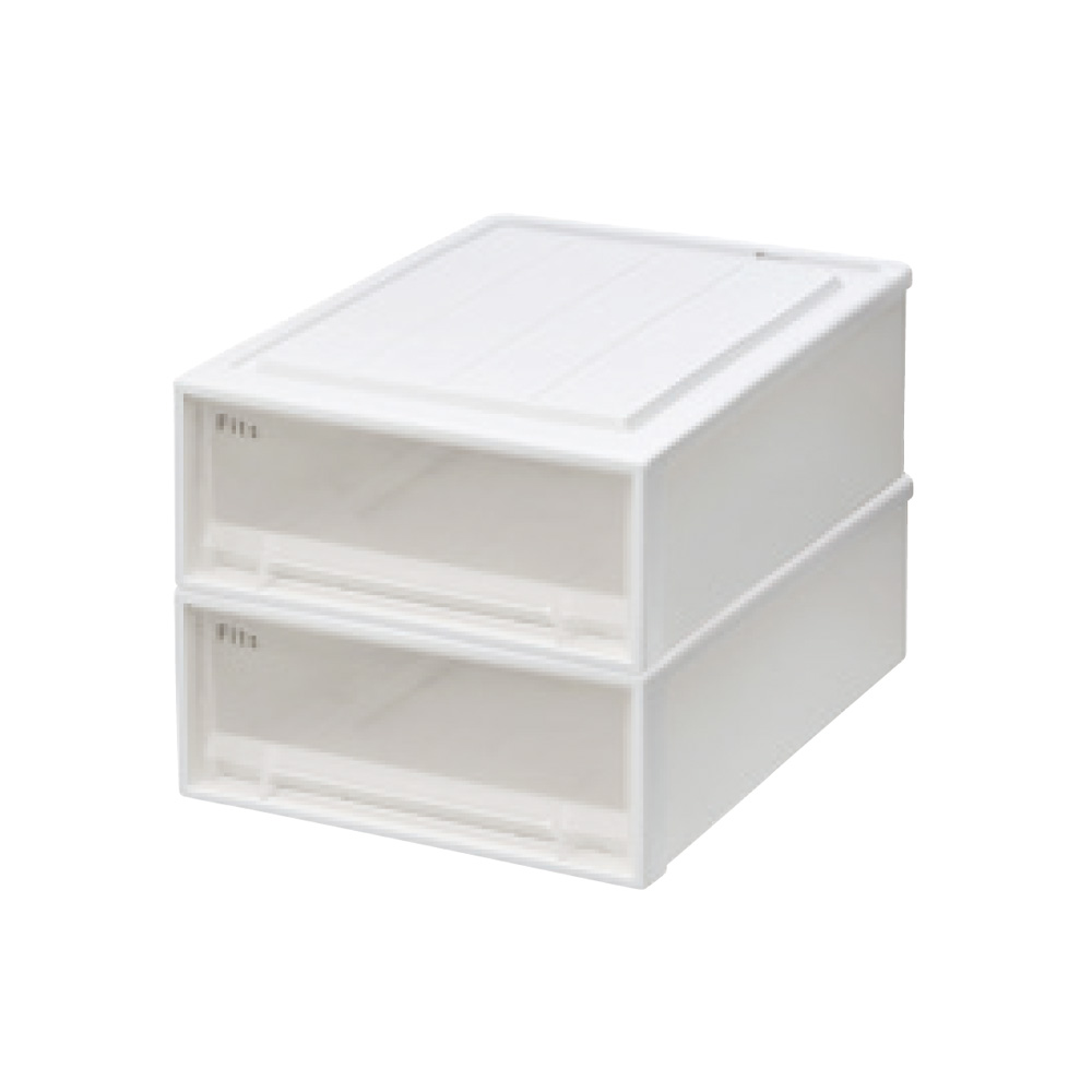 Fits フィッツ収納ケース クローゼットタイプ 奥行53cm幅39cm高さ18cm 2個組 収納ボックス 小物収納 フリーボックス 689504