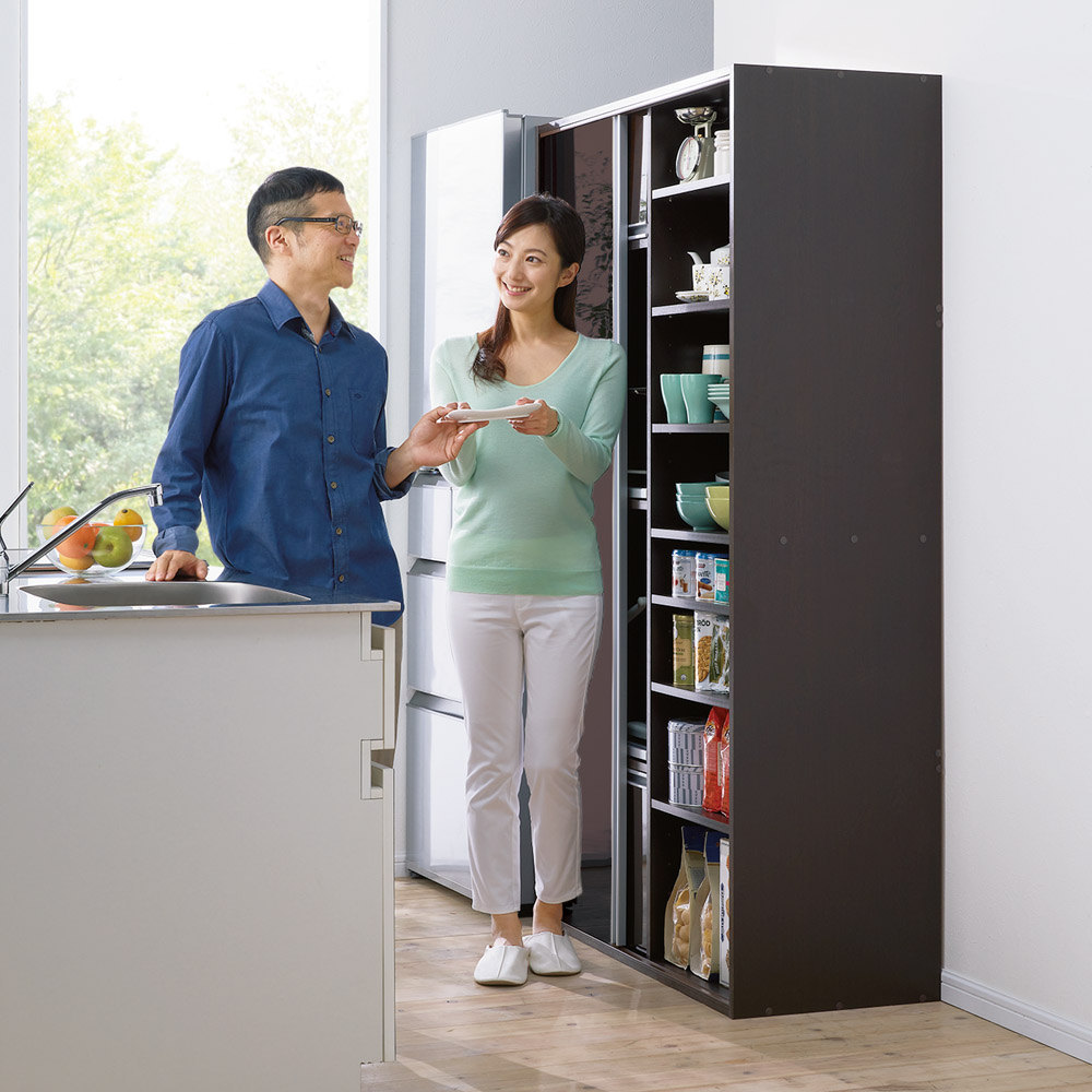 全部隠せるスライド棚付き家電収納庫 小売業者 ハイタイプ（ISI-552F