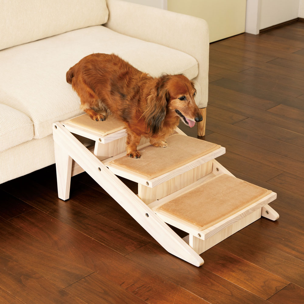 スロープにもなるペットステップ 3段 通販 ディノス