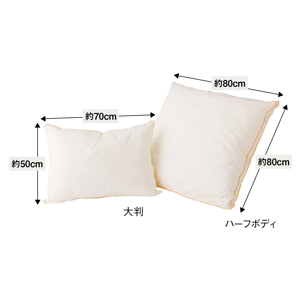 新品未使用 5つ星ホテル採用 フレッテ イタリア製 高級綿 枕カバー 2枚セット 西川 シーツ&枕カバー2枚 3点セット | Costco Japan