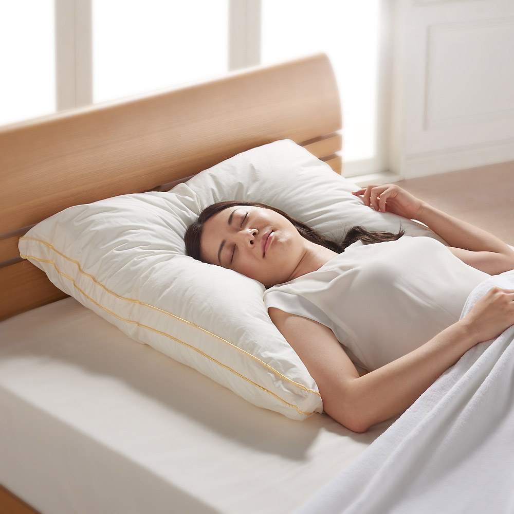 ミズノ・dinos 新メディブレスピロー 高さ調節シート・ピローケース2枚