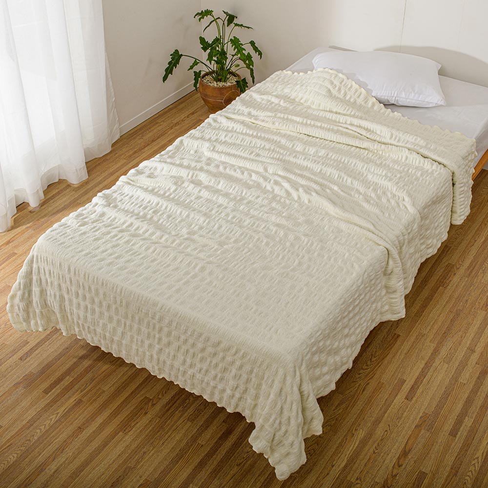 ≪クイーン≫ とろり、くしゅふわ テンセル(TM)モダール繊維混タオル寝具シリーズ タオルケット 560913