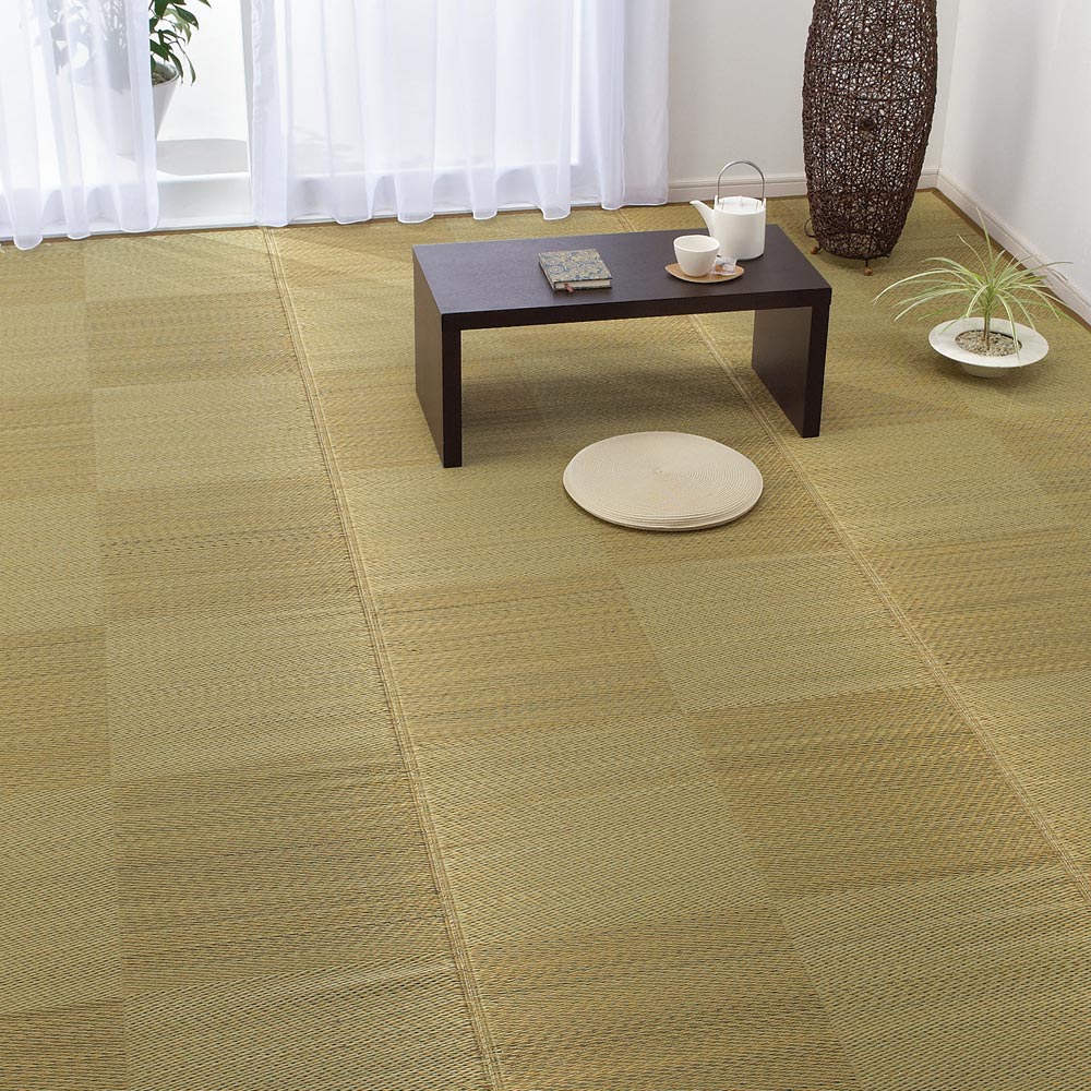 ≪裏なし約2mm 6畳≫ い草上敷き〈ノア〉 カーペット ラグ マット 562845