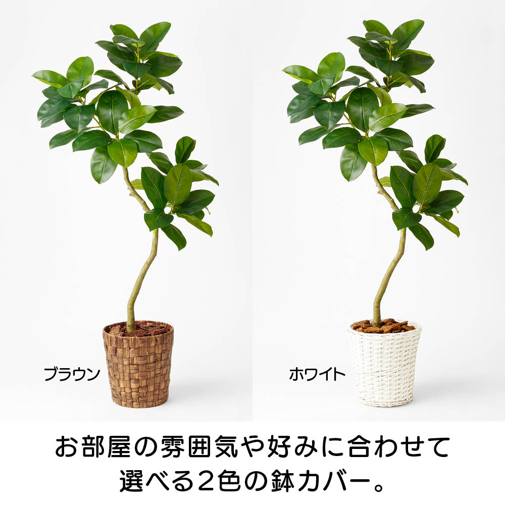 細部の質感にこだわったインテリアグリーン ゴムの木 フェイク インテリアグリーン 人工観葉植物 造花 581801