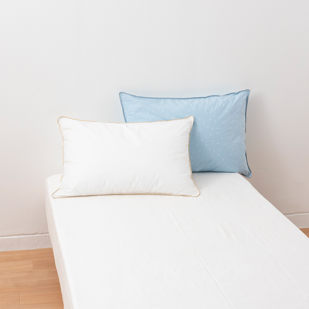 フォスフレイクス枕クラシック＆ロイヤーレ 枕のみ 大判サイズ同色2個セット 枕 624303