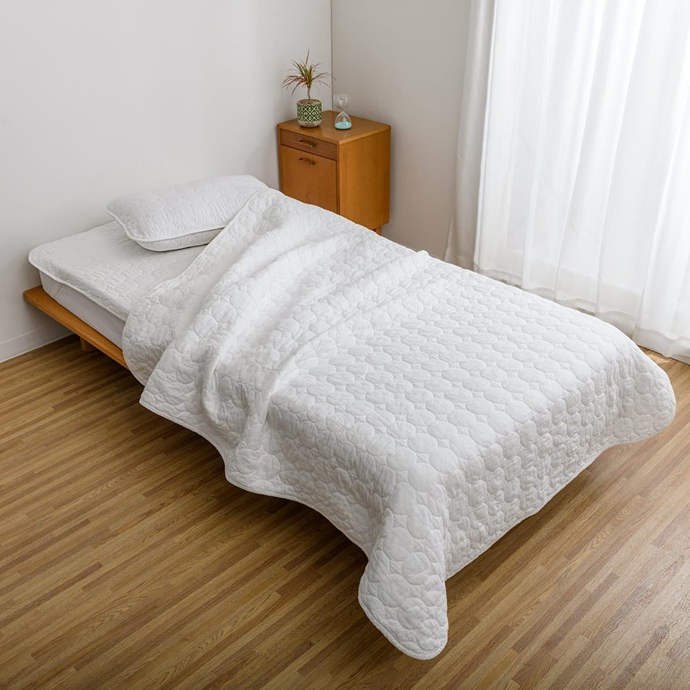 ≪掛け敷き2点セット≫ パシーマ(R)EX 無地 お得なセット シングル 敷きパッド ベッドパッド 624110