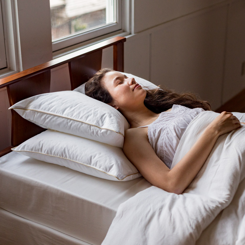 フォスフレイクス枕クラシック＆ロイヤーレ 枕のみ 大判サイズ同色2個セット 枕 624303