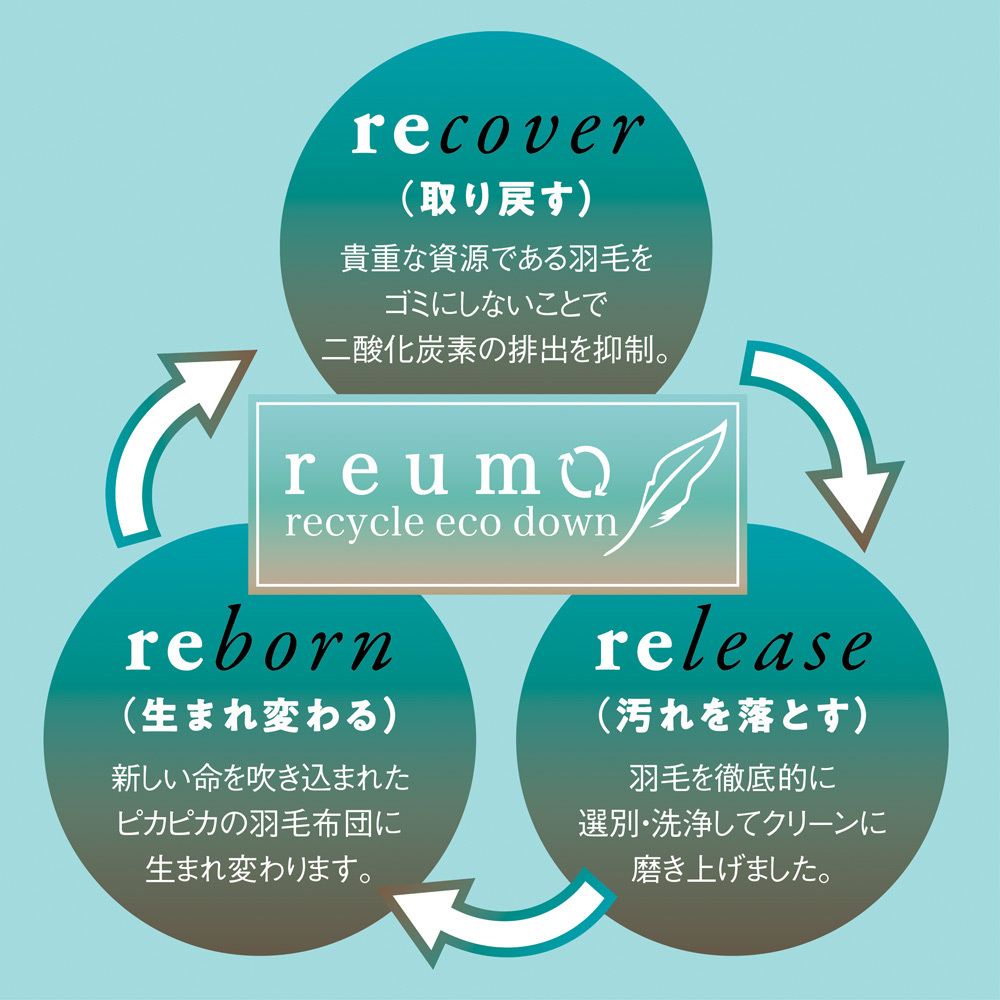 セミダブルロング （リサイクル羽毛〈reumo〉ダウンケット くまのプーさんデザイン） ディノスANAmall店