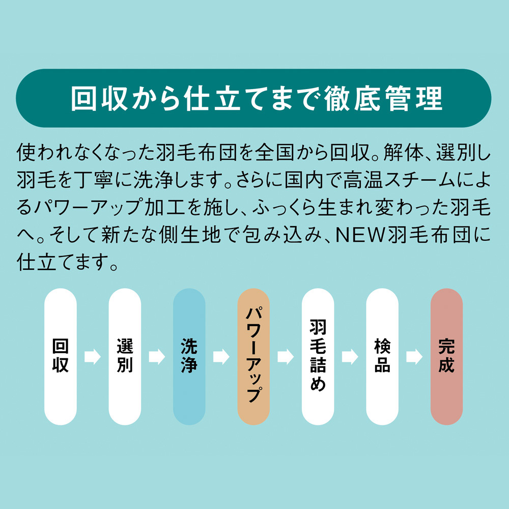 セミダブルロング （リサイクル羽毛〈reumo〉ダウンケット くまのプーさんデザイン） ディノスANAmall店