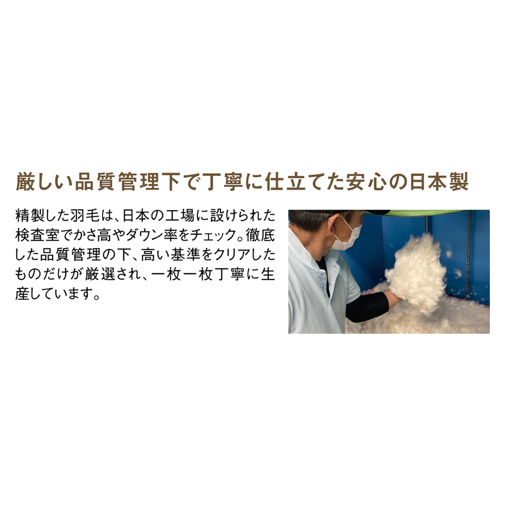セミダブルロング （リサイクル羽毛〈reumo〉ダウンケット くまのプーさんデザイン） ディノスANAmall店