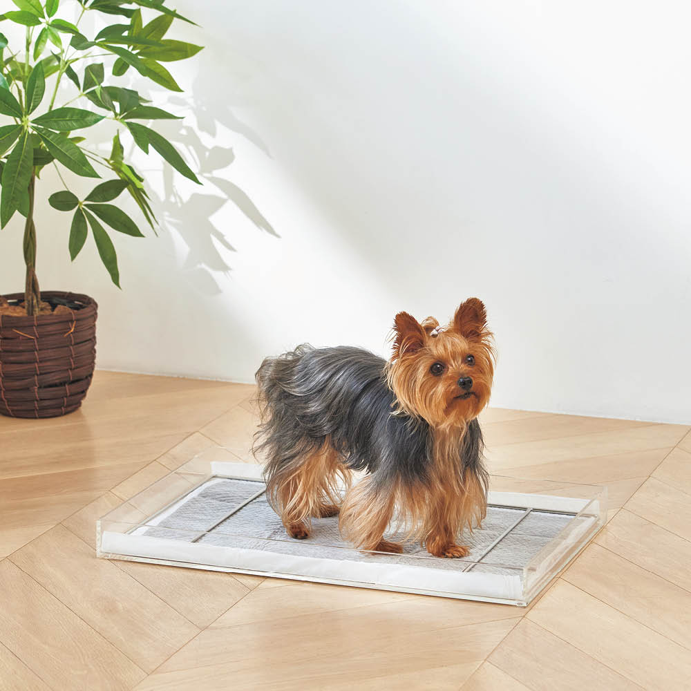 ペットアクリルトイレ　DAIHUKUtype（W）ワイドサイズ ペットアクリルトイレトレー DAIHUKUtype（W）ワイドサイズ