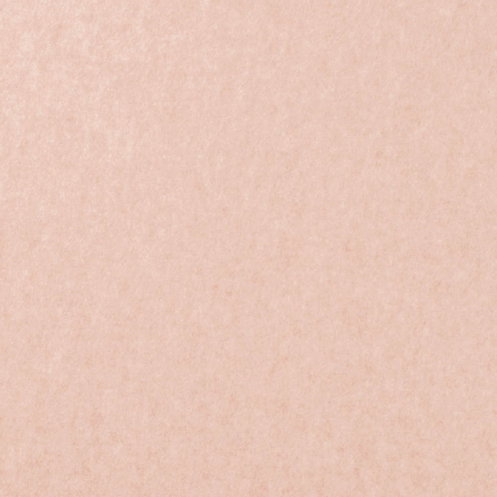 ≪同色12枚組［約2畳］≫ カテキン消臭＆はっ水 おくだけ吸着大判タイルマット ペット用品 612704