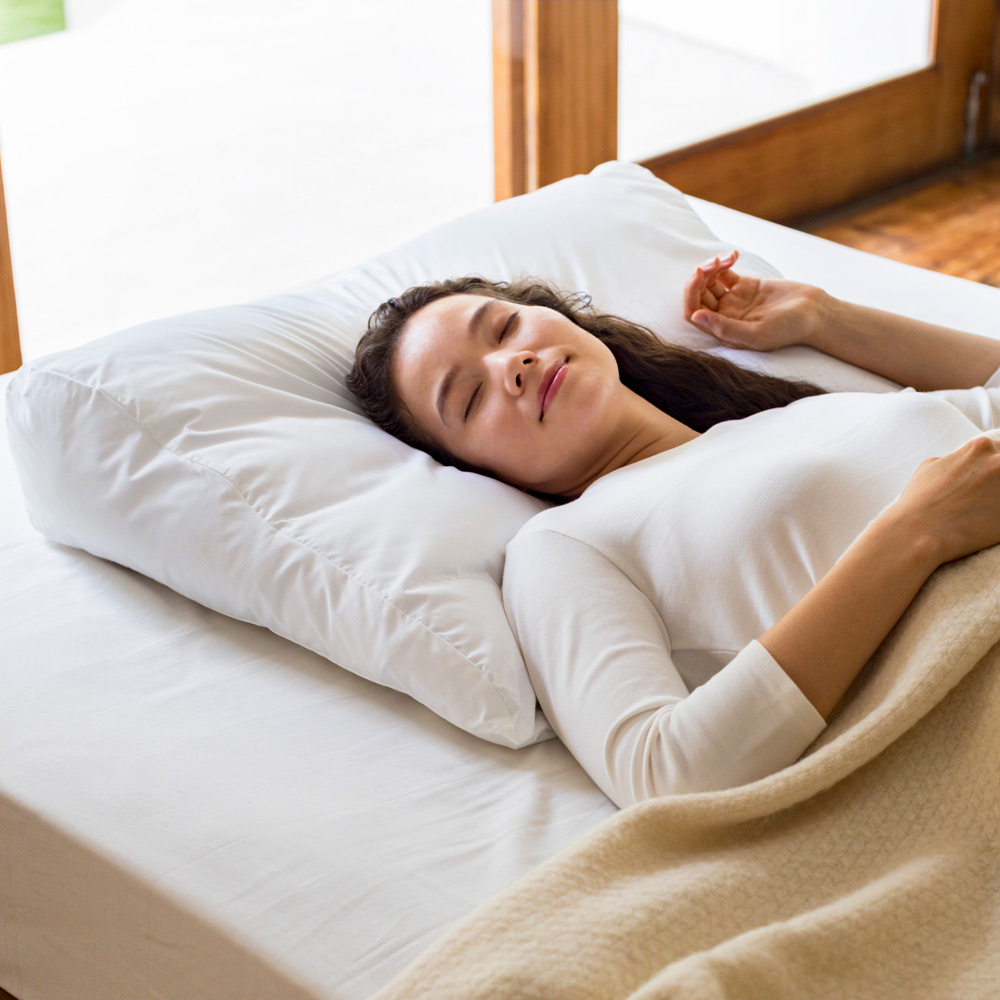 この大きさで背中までサポート ふんわりシンクロピロー お得なピローケース付きセット 枕 614903