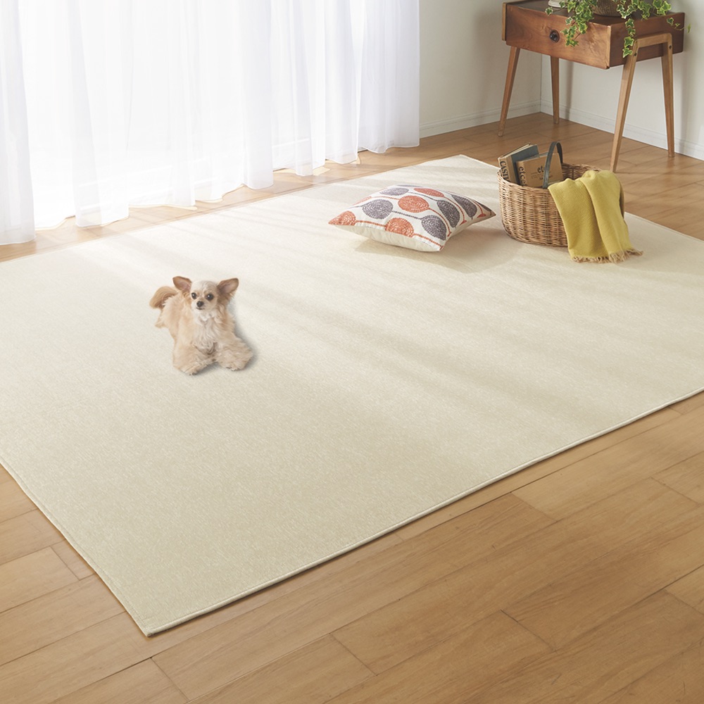 ≪約200×300cm≫ シェニールフラットラグ ラグ 絨毯 カーペット マット 691478