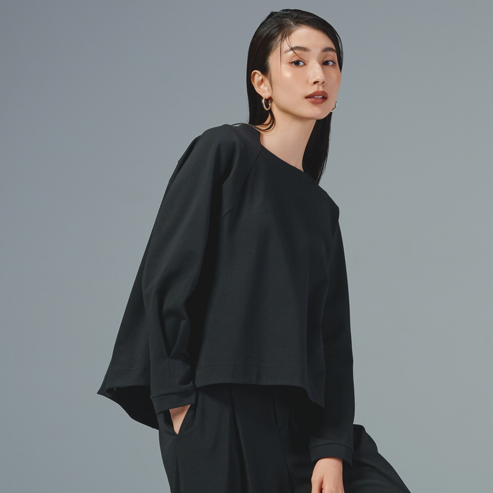 ポンチジャージー プルオーバー プルオーバー シャツ ブラウス 102003