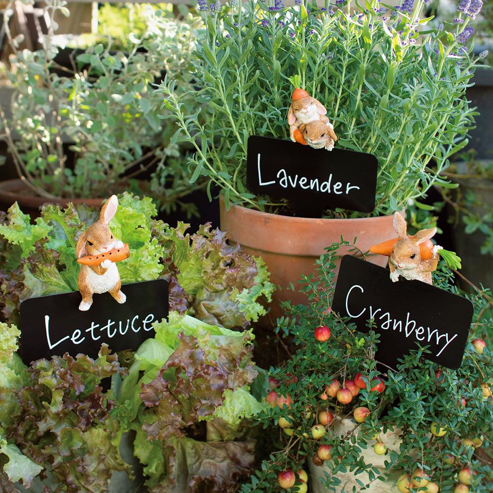 うさぎのネームピック 3本組 通販 ディノス