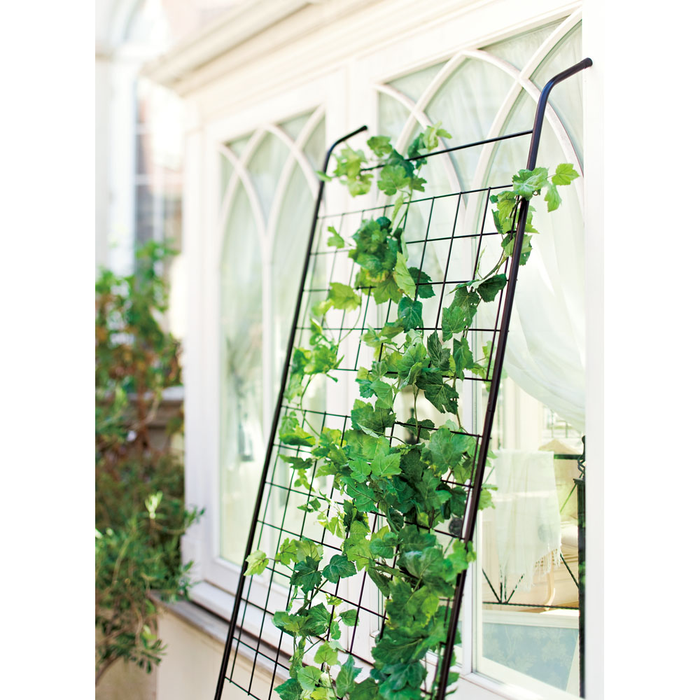 アイアングリーンカーテン トレリス 通販 ディノス