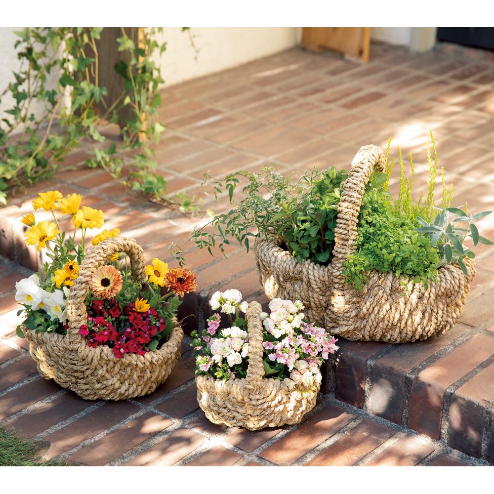 持ち手付かご型プランター 小 通販 ディノス