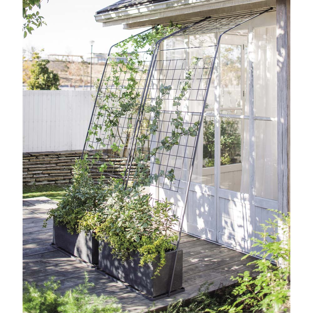 アイアングリーンカーテン 奥行広々ハイタイプ プランター台付き お得な2枚セット 通販 ディノス