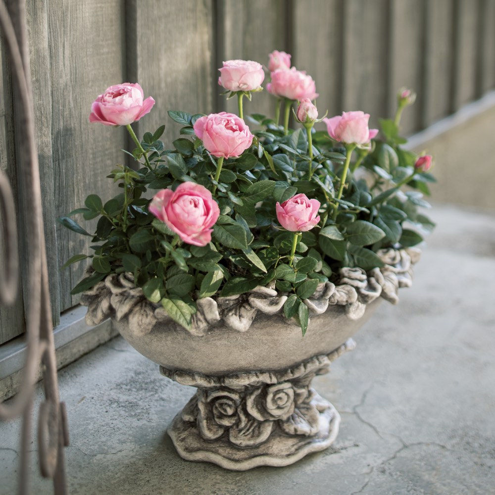 バラ色の暮し 花柄プリントタンクトップ