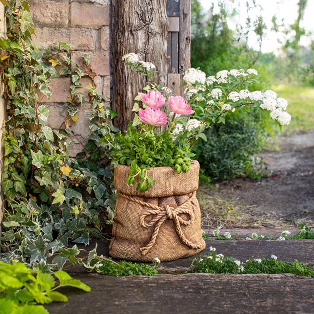 植物 生活雑貨 家庭用品 ガーデニング