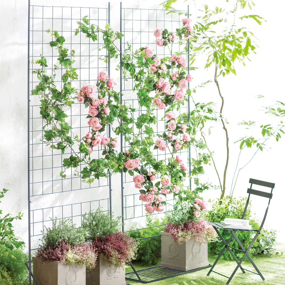 Amazon | 植物クライミングフレーム つる植物トレリス金属鉄丸型