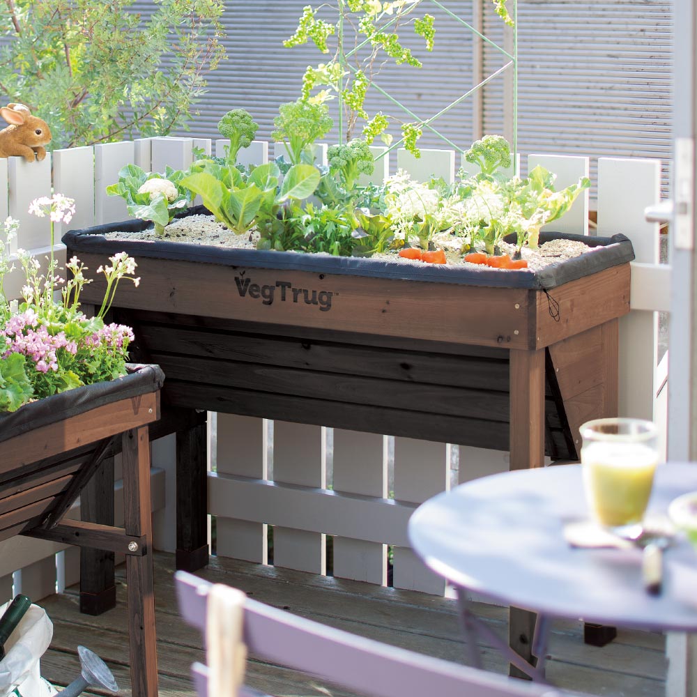 CYZglass 植物繁殖ステーション 木製壁プランター 屋内植物用 誕生日  