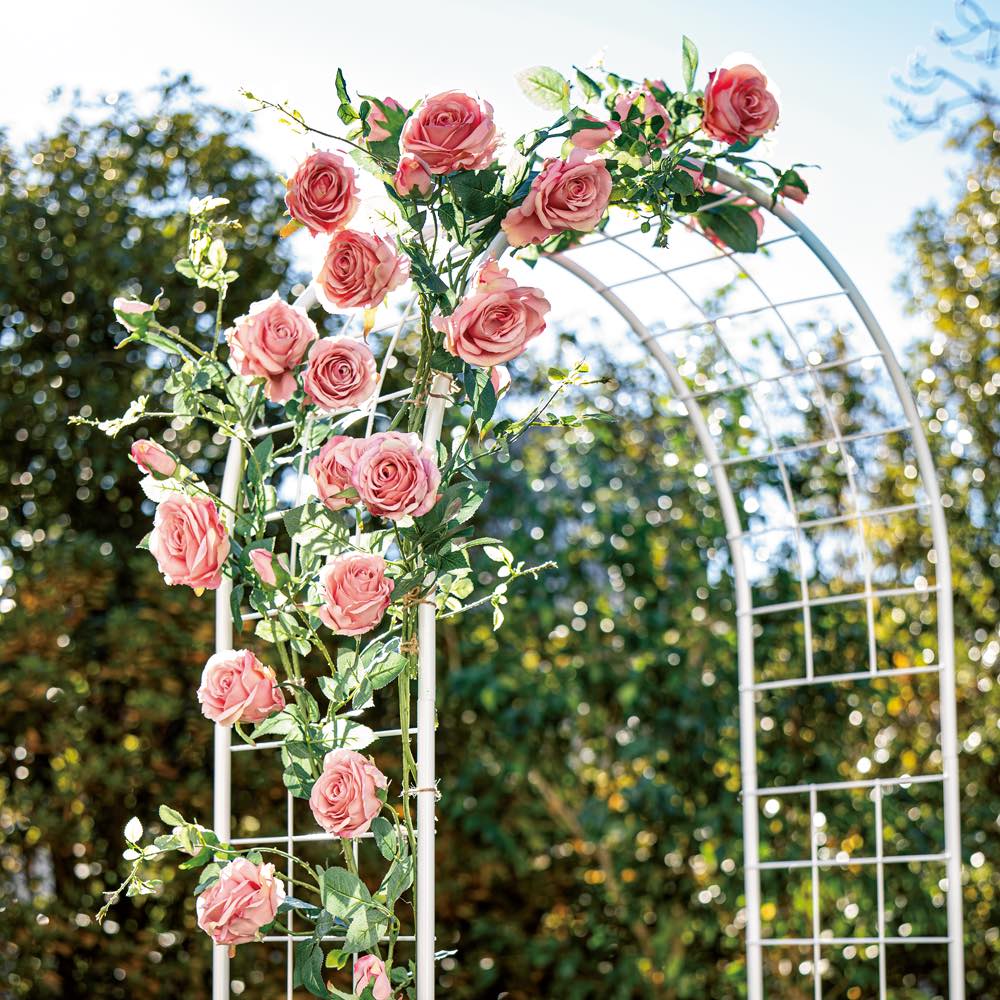 [１２点セット] 黒猫とピンク猫とワンとサボテンのキーホルダー、バラの鉢植え プランター台付きローズトレリス グレー1枚 通販 - ディノス