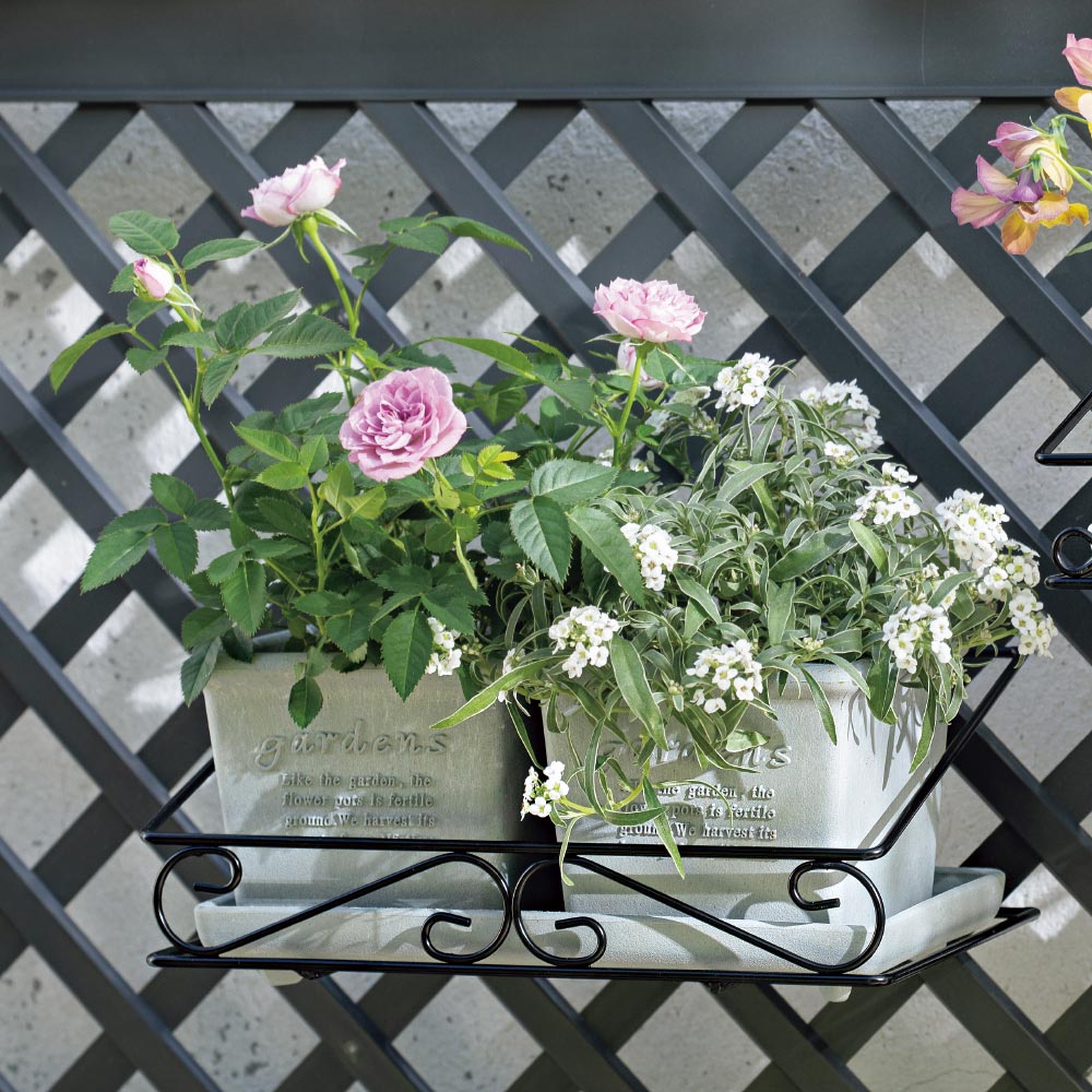 プランター付コンテナボックス ダブル プランター 植木鉢 鉢カバー G88302