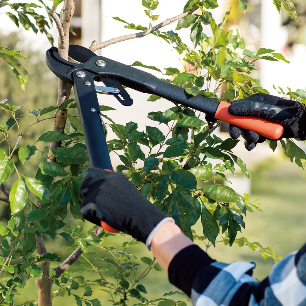 在庫切れ！ レザーグローブ 裏起毛/ビーズ 草グリーン色