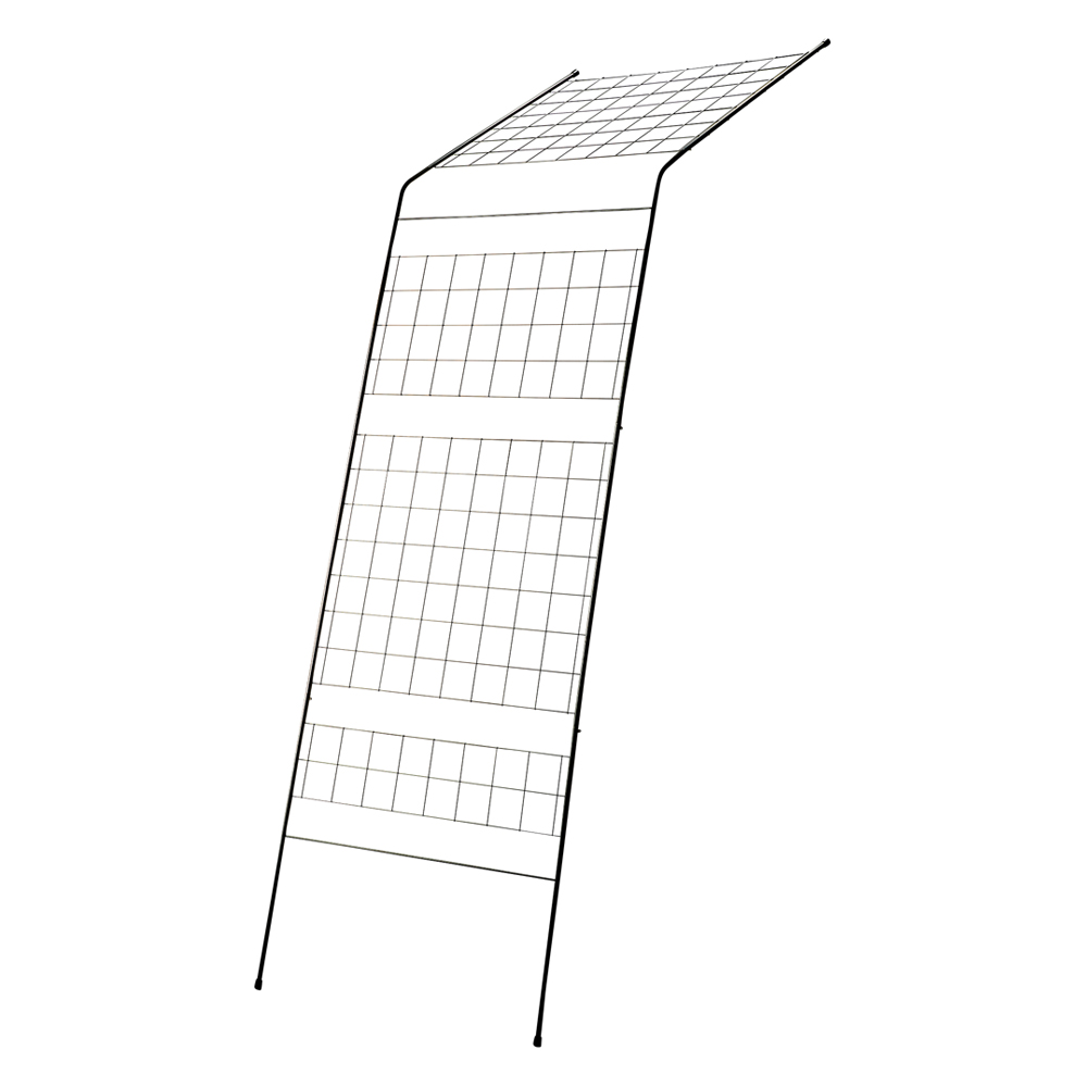 ウォールフラワートンネル 1枚 G01909