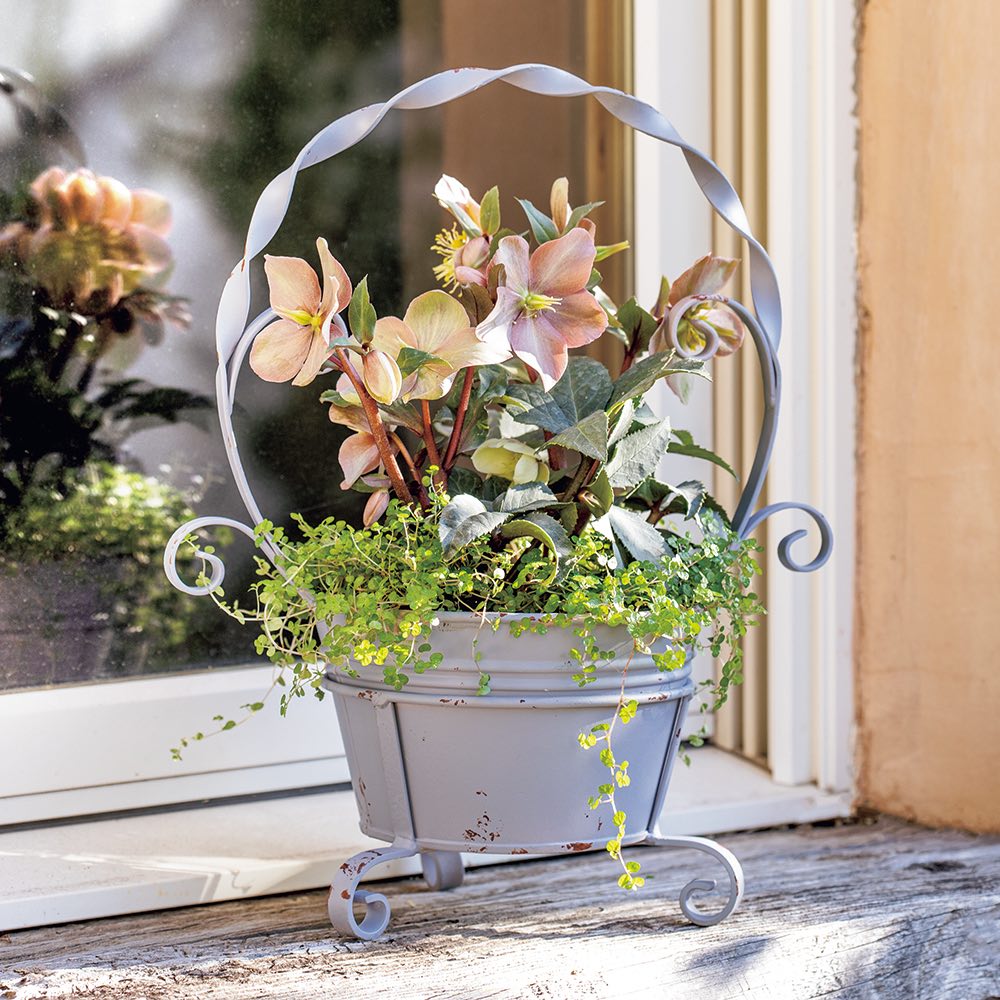 アンティーク調エレガントプランター プランター 植木鉢 鉢カバー G00501