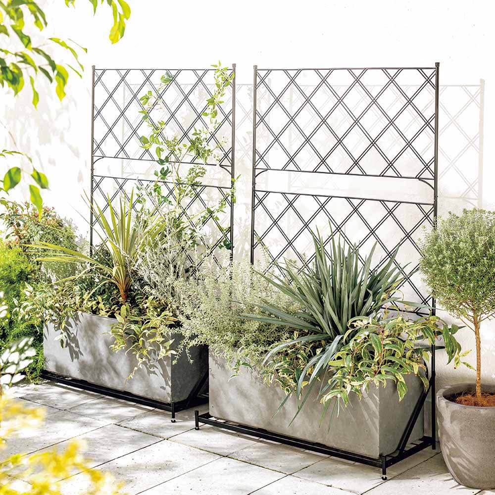 アーガイル台付きフェンス ワイド 1台 G01924