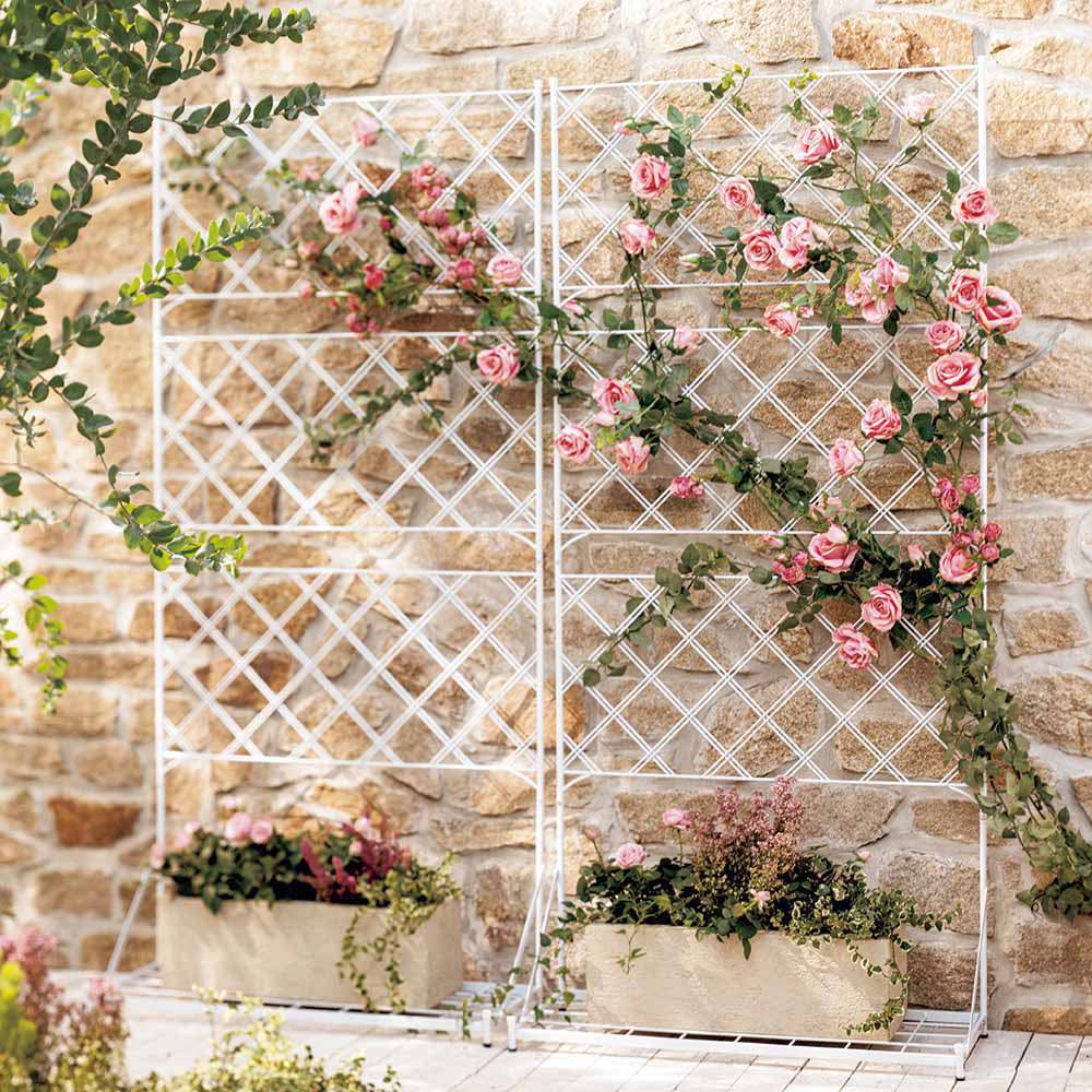 アーガイル台付きフェンス ワイドハイ 1台 G01925