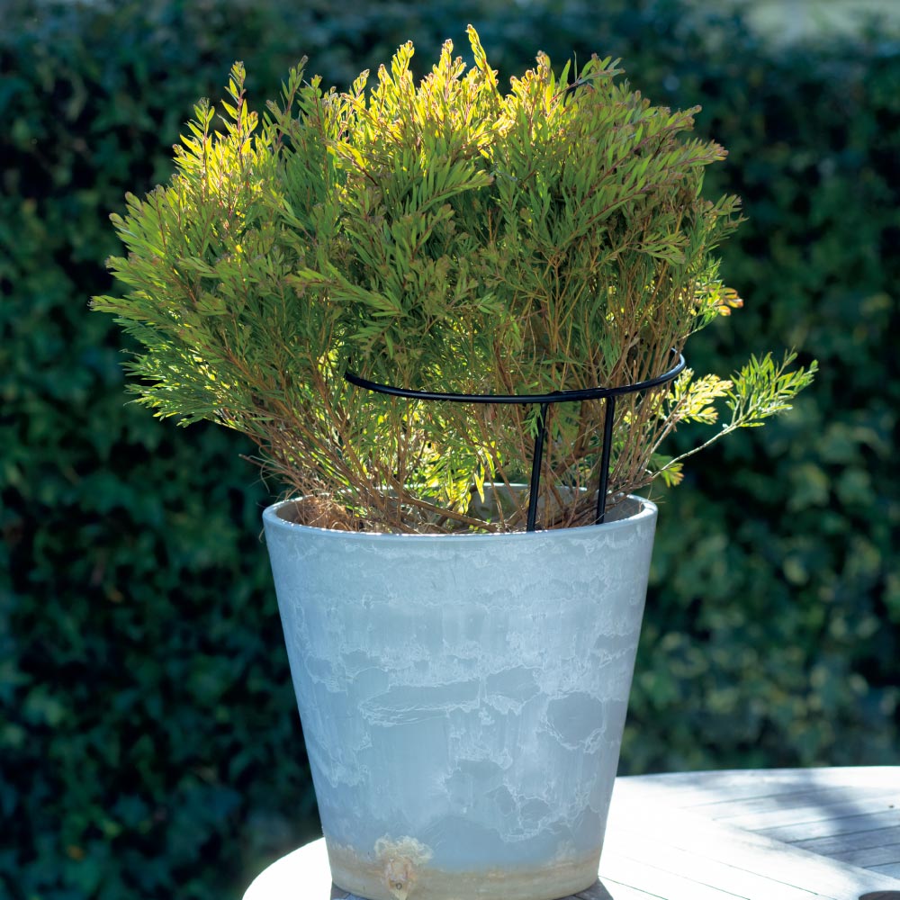 ≪高さ70cm≫ 眞理子さんの欲しかったブランチサポート G03222